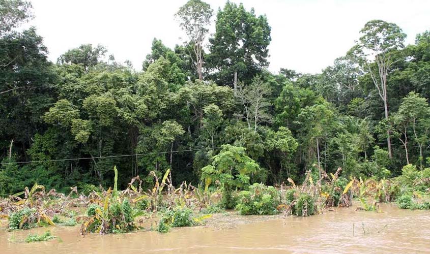 Rondônia vai conhecer riscos de desastres naturais pelo celular, informa a Defesa Civil Estadual