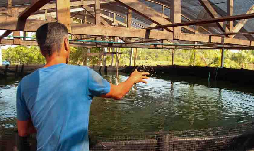 Pisicultura Tem Grande Desenvolvimento E Cria O De Tambaqui Destaque