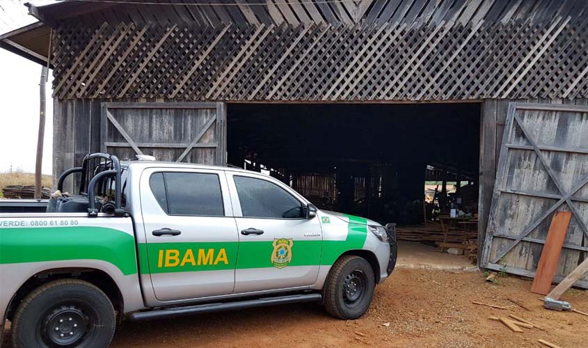 Ibama autua 2 mil empresas do setor madeireiro por fraudes no pagamento da Taxa de Fiscalização e Controle Ambiental (TCFA)