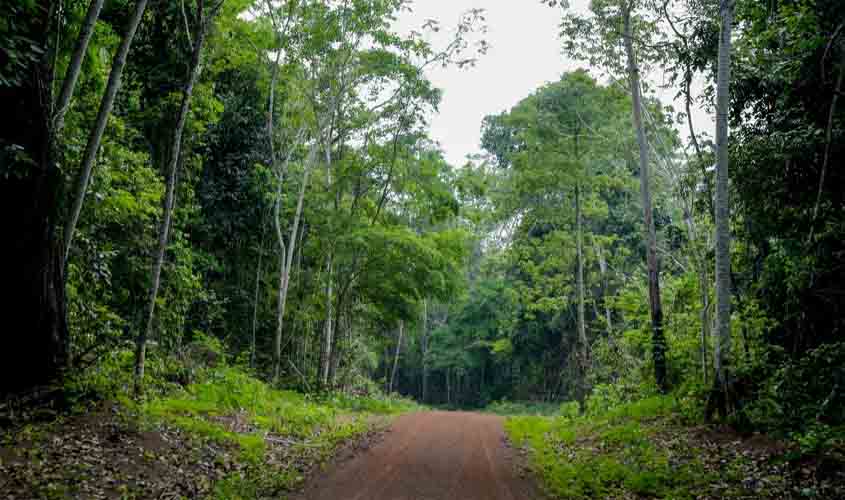 Ministério do Meio Ambiente sinaliza apoio ao projeto REDD+ em Rondônia; reservas extrativistas serão beneficiadas
