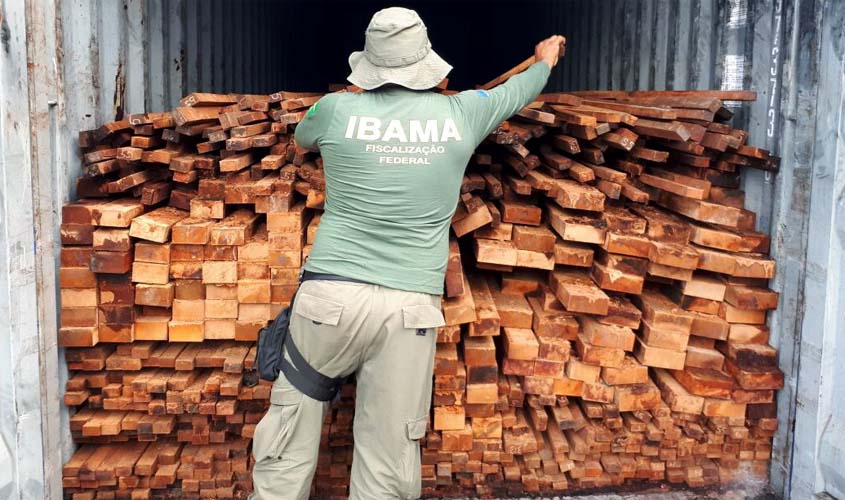 Ibama investiga 444 contêineres por irregularidades no transporte de madeira em portos de Manaus (AM)