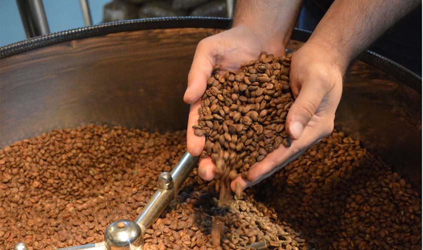 Rondônia ganha destaque entre os 10 melhores cafés conilon do Brasil