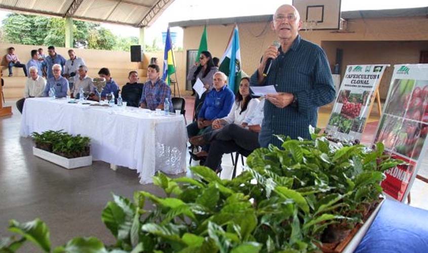 Primavera de Rondônia recebe mais 180 mil mudas de café clonal e eleva lavoura para 400 hectares plantados