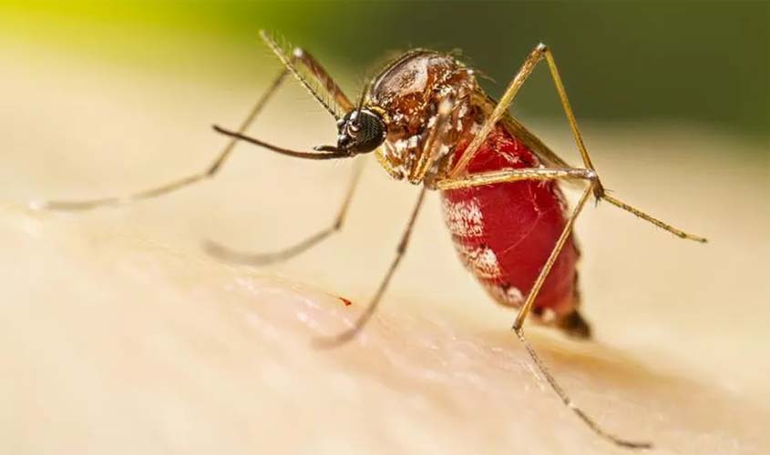 Centro de Operações de Emergência vai monitorar casos de dengue em Rondônia