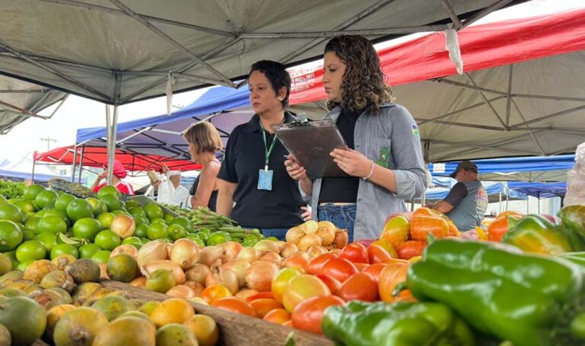 Programa de Aquisição de Alimentos impulsiona a agroindústria e fortalece setor agrícola