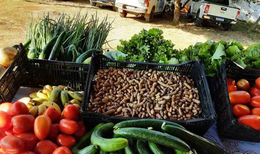 Mais de 350 produtores de Rondônia são aprovados no Programa de Aquisição de Alimentos Indígena