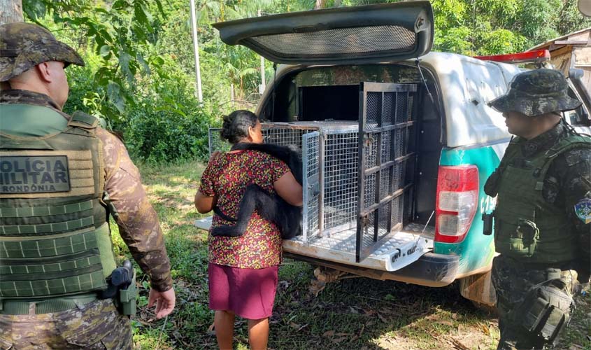 Resgate de macaco na zona rural de Porto Velho: Ação conjunta de proteção à fauna