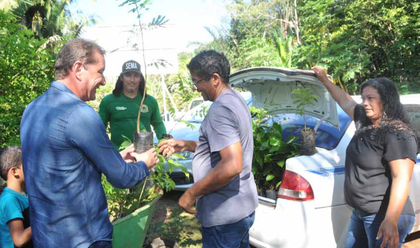 Prefeitura realiza a distribuição de mudas em alusão ao dia do meio ambiente