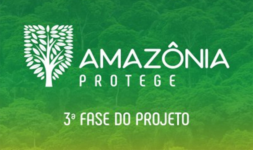 MPF instaura mais de mil ações por desmatamento ilegal na 3ª fase do projeto Amazônia Protege