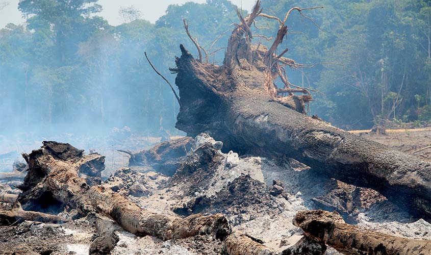 Queimadas e desmatamento são responsáveis por aumento de focos de calor em Rondônia, alerta Sedam