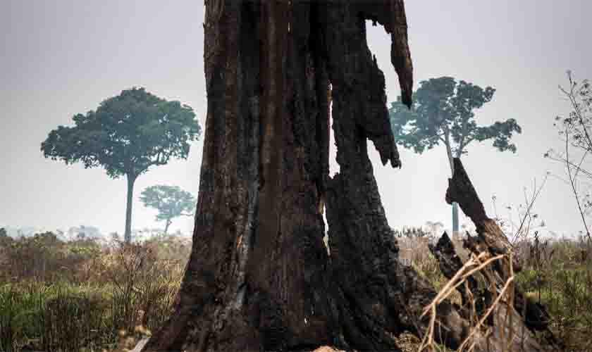 Desmatamento e seca se somam em nova temporada de fogo na Amazônia