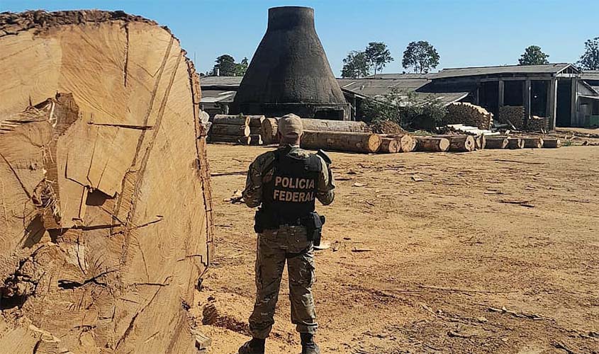 PF deflagra operação URU PRAESIDIUM III para fiscalizar comércio ilegal de madeira em Rondônia