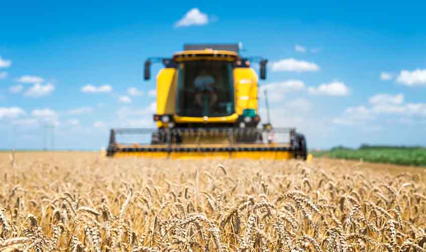 Soja em queda no Paraná