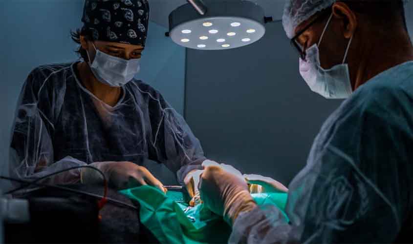 Prefeitura de Porto Velho divulga resultado preliminar de seleção para serviços veterinários