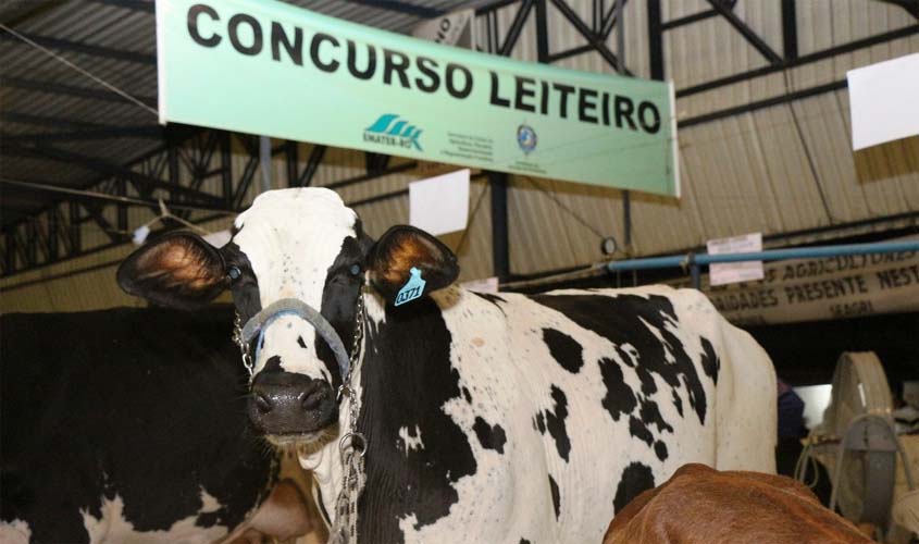 Pecuária leiteira ganha destaque em concurso