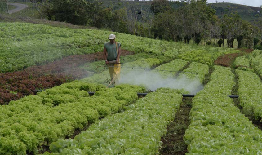 Seminário Estadual Sobre os Impactos dos Agrotóxicos na Saúde Humana