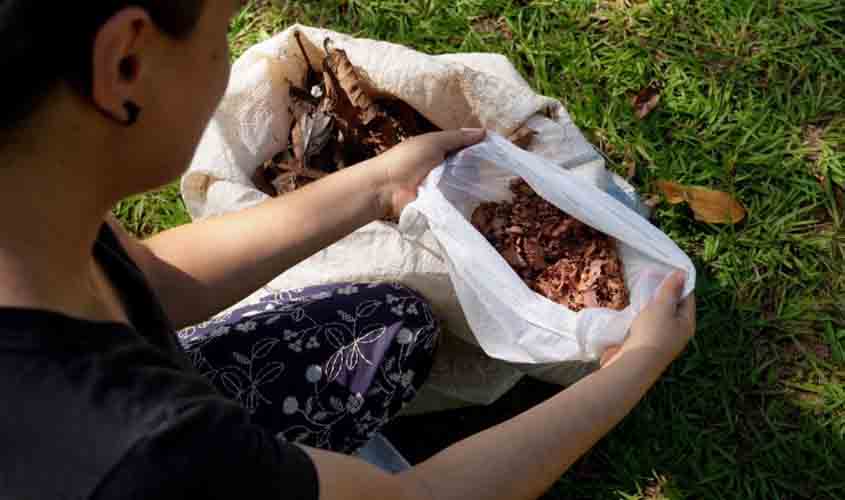 Compostagem é solução sustentável para eliminar resíduos de folhagens