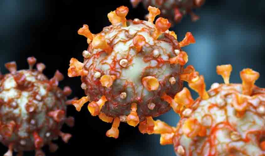 Covid-19: Rondônia com 263.450 casos e 6.478 mortes; Porto Velho não registrou mortes nas últimas 24h