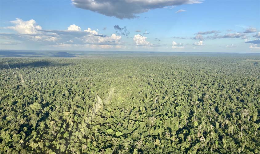 Dia da Amazônia: o potencial e os perigos que envolvem a maior floresta do mundo