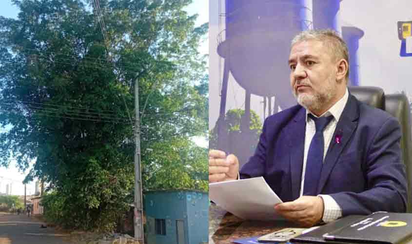 Fogaça pede poda urgente de árvore que causa apagões no bairro São Sebastião I