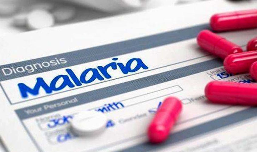 Anvisa aprova registro de remédio para malária em dose única