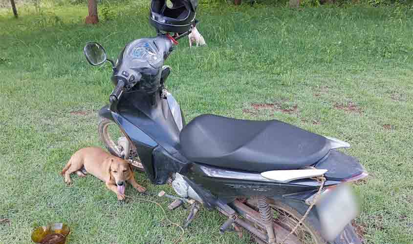 Homem é multado e preso por arrastar cachorro amarrado a motocicleta na RO-257