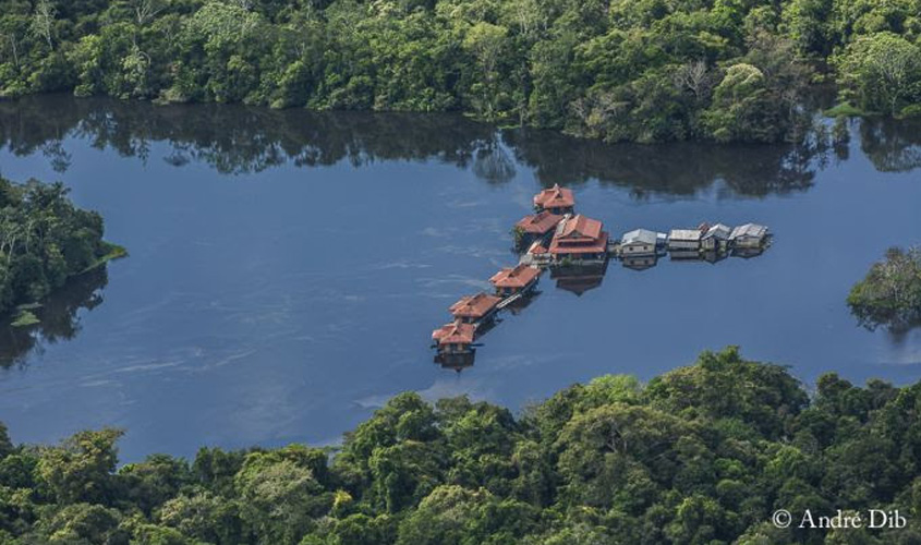 No dia do Turismo Ecológico, conheça a Pousada Uacari, um dos destinos mais surpreendentes da Amazônia