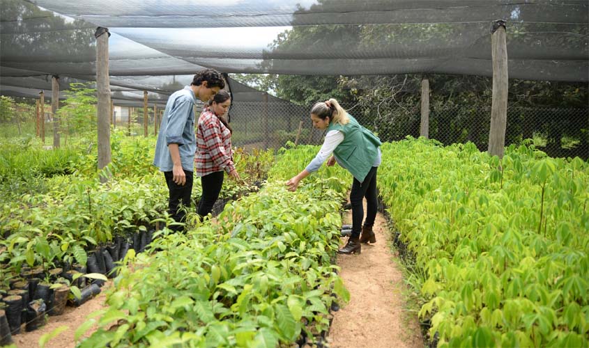 Semeia doa muda para arborização da Rondônia Rural Show Internacional 2023