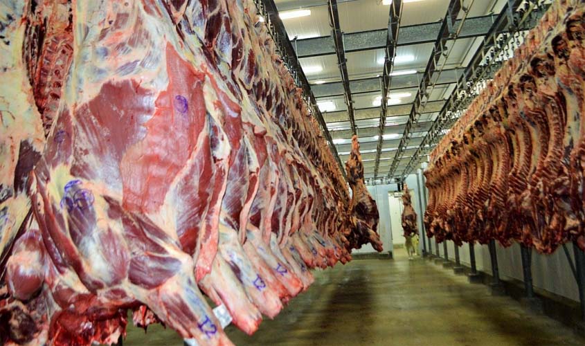 Exportações de carne bovina crescem e ultrapassam 960 milhões de dólares em Rondônia