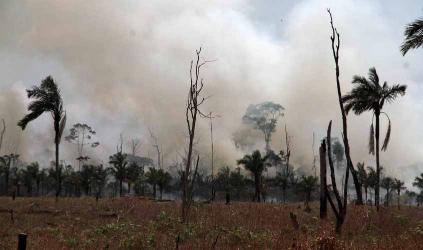 Plano de Prevenção e Combate às Queimadas é implementado para conscientização e suporte em unidades de conservação em Rondônia