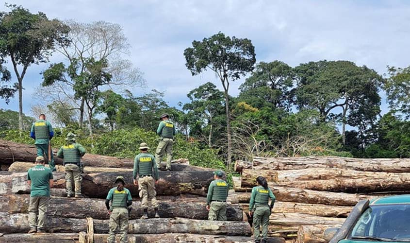Fiscalização apreende madeira ilegal e aplica R$ 829 mil em RO