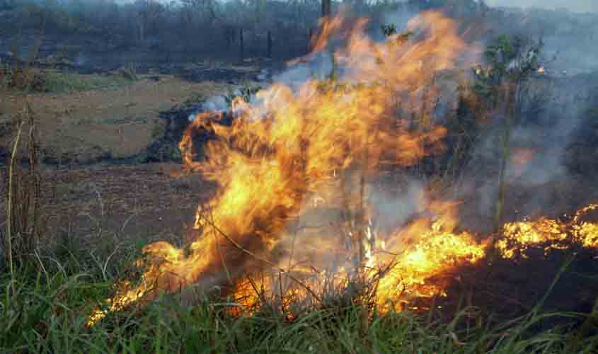 Sedam intensifica ações de prevenção às queimadas e incêndios florestais em Rondônia