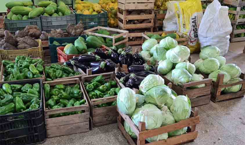 Agricultura familiar é fortalecida com investimentos de R$ 80 mil do PAA Federal