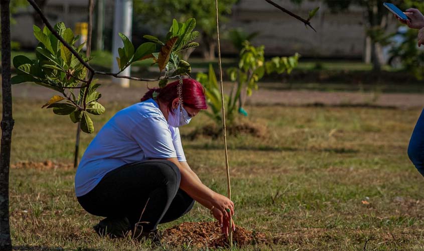 Educação Ambiental Itinerante é o tema da Semana do Meio Ambiente deste ano