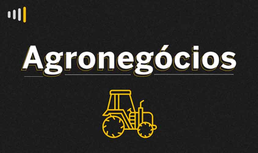 Boi gordo recua 0,13%