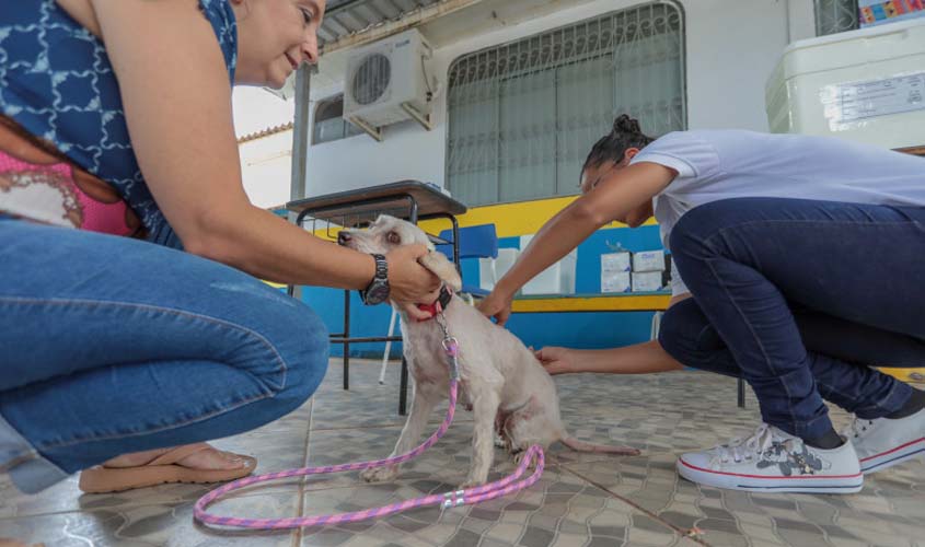 Jaci-Paraná recebe ação de vacinação de cães e gatos no sábado (5)