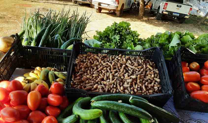 Programa de Aquisição de Alimentos do governo de RO beneficia agricultores familiares, na região do Cone Sul