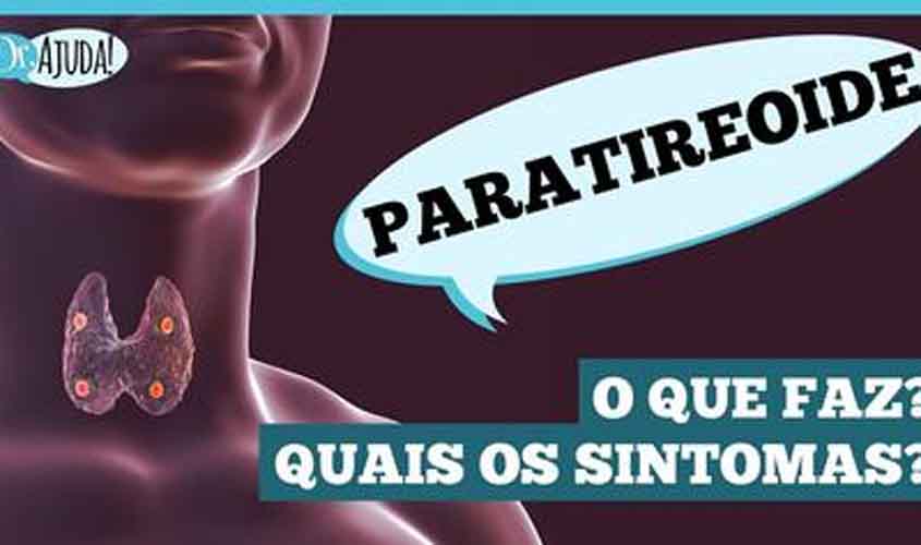 Glândulas paratireoides: pequenas, mas essenciais!