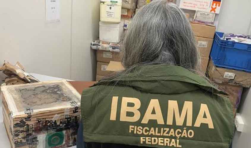 Ibama impede tentativa de tráfico internacional de 400 abelhas