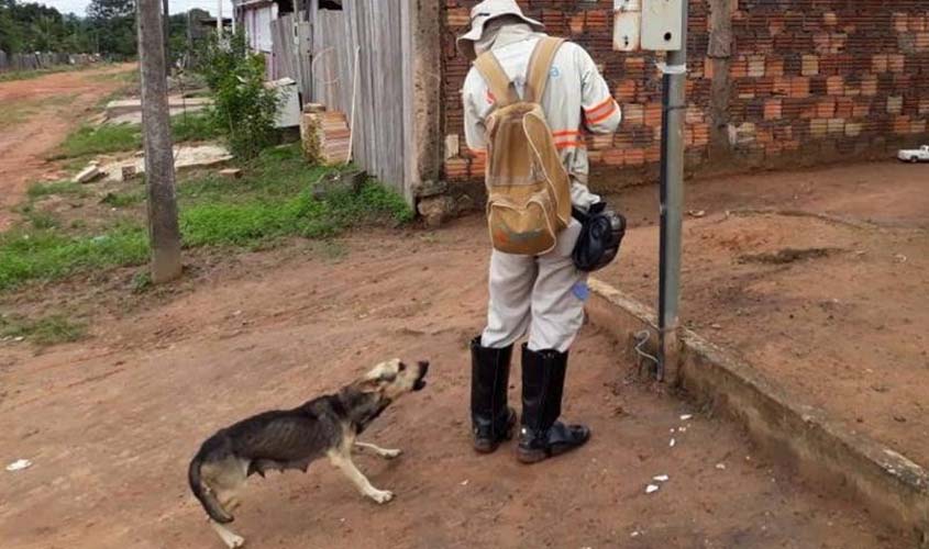 Energisa registra mais de 30 ataques de cães a leituristas no 1º semestre de 2025