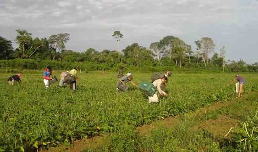 Segurança no campo: delegacias especializadas em conflitos agrários aprovadas em Comissão