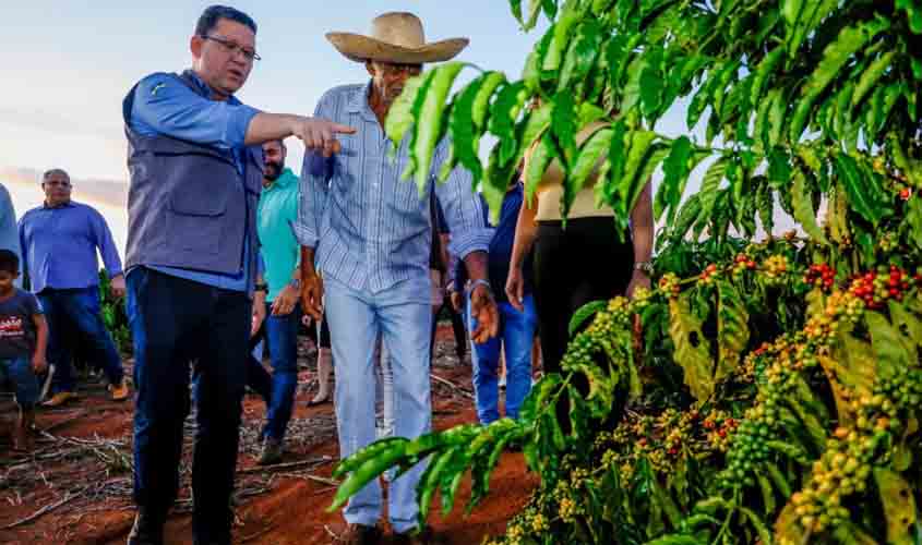 Expectativa do Governo é de que a cafeicultura possa gerar pelo menos US$100 milhões em exportação até o fim do ano