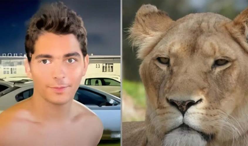 Vaqueirinho, Michelle e o vazio