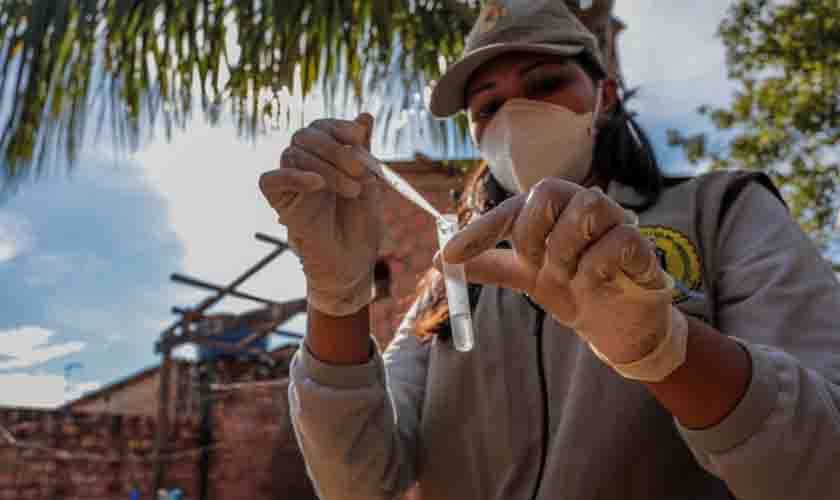 Levantamento vai identificar bairros com maior incidência de Aedes Aegypti em Porto Velho