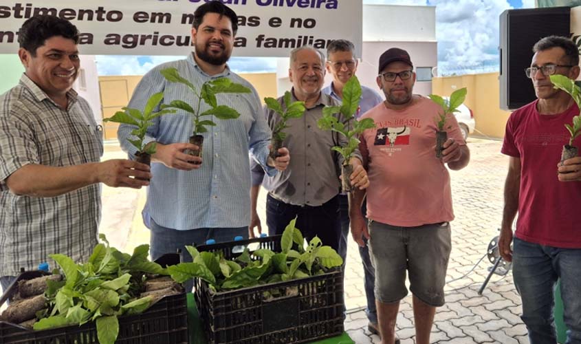 Jean Oliveira destina 549 mil mudas de café à agricultura familiar