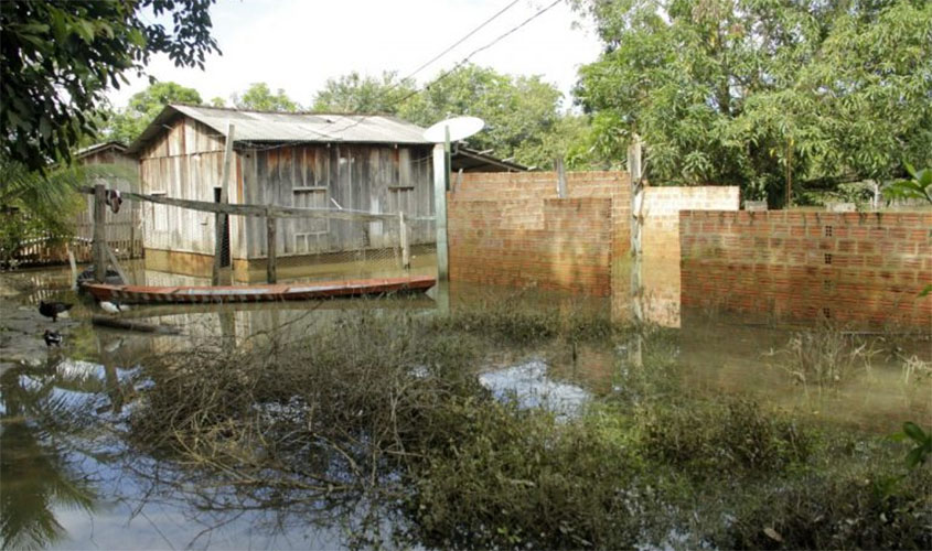 Zonas críticas de malária em Rondônia receberão mosquiteiros com inseticida de longa duração