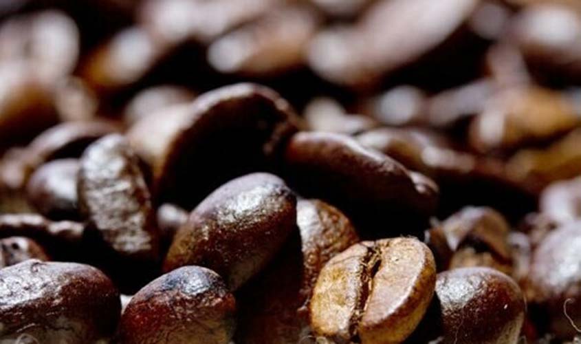 INDICADORES: preço do café arábica inicia a segunda-feira (03) com queda de 2,24%