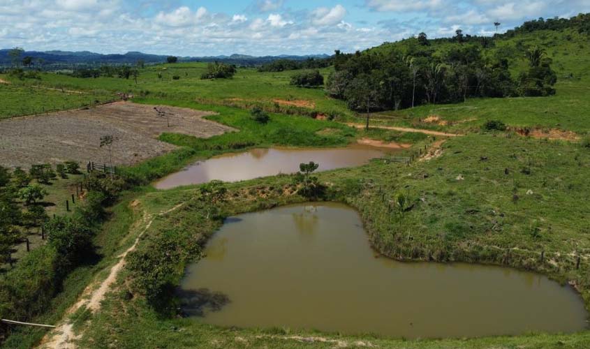 RO é Agro: investimento estimula agricultura familiar no setor Riachuelo, em Ji-Paraná