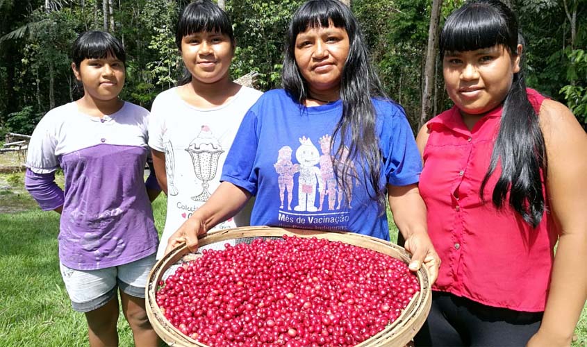  Concurso de café prestigia cafeicultura dos povos indígenas em Rondônia     