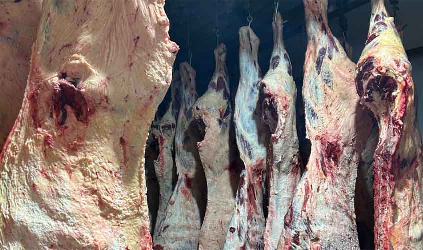 Equipe de veterinários da Semagric assegura qualidade dos alimentos de origem animal